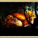 월드니스 이미지