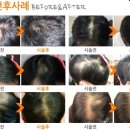 (주)지성약품 이미지