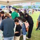제27회 영덕군 어린이대축제 이미지