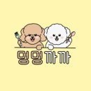 멍멍까까 이미지