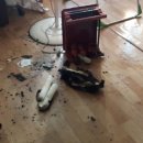 주문진읍사무소 이미지