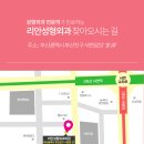 리안성형외과의원 이미지