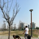 화합공원 이미지