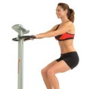 Whole body vibration therapy in fracture prevention among adults with chronic disease 이미지