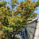 이문휘치과의원 이미지