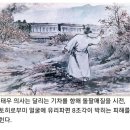 우리나라가 양궁 잘하는 이유 이미지