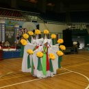 천도체육관 이미지