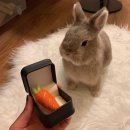 종로-신교-종로-신-177 | W14. 종로 웨딩링 투어&amp;계약 | 3곳 비교 끝에 고른 '우리만의 인생 반지' 내돈내산 리얼후기...