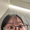 보라안경 | <서울 양천구|목동> 목동오거리 안경점, 아이마트본점 블루라이트 안경 후기
