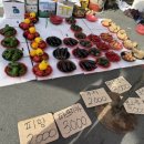 (주)신마산시장