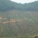 유명농장 이미지