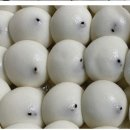 (주)명가식품 이미지