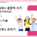 앨리스영어