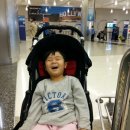 서진동물약국 이미지