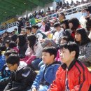 묘도초등학교 이미지