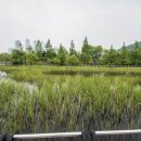 노작호수공원 이미지