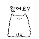 인투게코