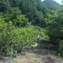 소야농장 이미지