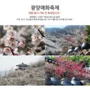 매화 공설시장 이미지