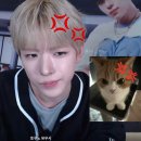 수원-0119 | 도쿄에서 파산한 여자 .. (엔시티 위시 요요기 글패 후기)