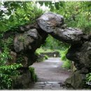 신례주유소 이미지