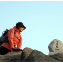 하양사진 이미지