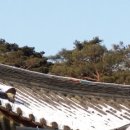 전등사 티스토리