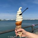 영종도 구읍뱃터 카페 요거블랑 소라빵 아이스크림 내돈내산 후기