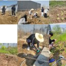 위례한빛고등학교 이미지