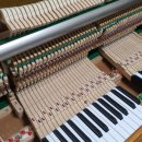 맑은피아노교습소 이미지