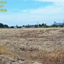 상모리-3 이미지