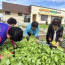 행복노인복지센터 이미지