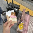 쿡앤스테이 | 4박5일 제주여행 1일차 : 한라산 D-1 ! 회 한접시, 핫앤쿡 비행기 반입거절? 3만원대 도두봉 가성비 숙소