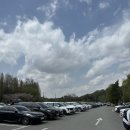 드림랜드 | 전주동물원 드림랜드 6살 아이랑 다녀온 후기