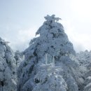 뫼ㅡ산악회 2017/1월21일 (토) 한라산(1,950M) 눈꽃산행 안내, 이미지