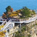 암남공원 이미지