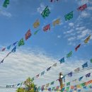 신용나라세탁 | <칸쿤여행> 호텔존 가성비 숙소, 알로프트 칸쿤