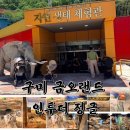 더정글 | 구미 아이랑 가볼만한곳 금오랜드 자연생태체험관 인투더정글 후기