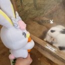 석당농장 이미지