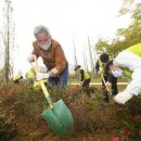 가족나무 이미지