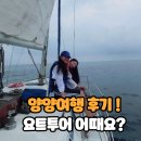 양양 가족여행 데이트 추천ㅣYCC 와이와이씨 요트투어 추천 후기