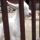 주월농장 이미지