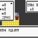 금빛체육관