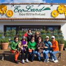 짐을내려놓고편히쉬세 | 제주도 승합차 대절 기사포함 투어 후기