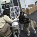 개네집 곳간 이미지