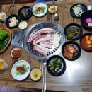 한라산도야지 이미지