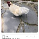 캠퍼스 PC방 이미지