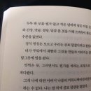 요리랑책이랑 1반 | ㅣ도서ㅣ일본 소설책 '오늘 밤, 세계에서 이 사랑이 사라진다 해도' 이치조 미사키 일본 2020년 발매