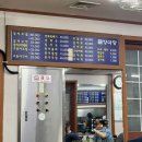 도토리숍