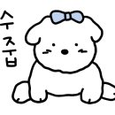 퍼피트랙 이미지